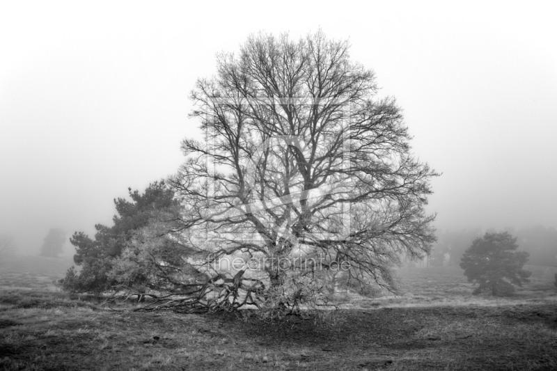 frei w&auml;hlbarer Bildausschnitt f&uuml;r Ihr Bild auf Poster