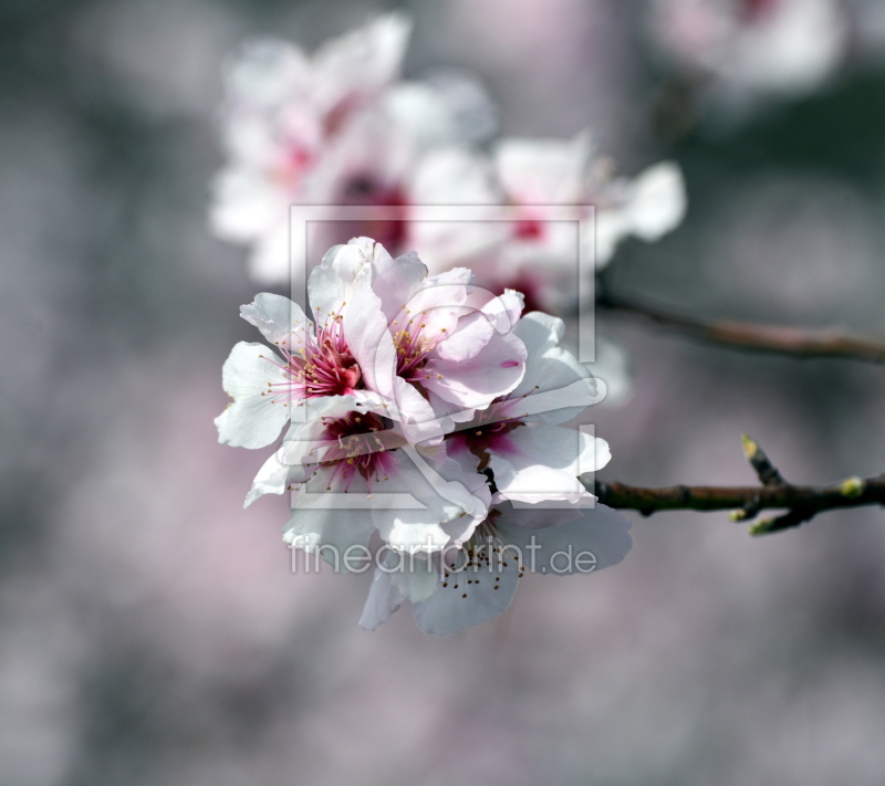 frei w&auml;hlbarer Bildausschnitt f&uuml;r Ihr Bild auf Poster