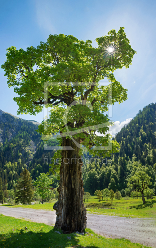 frei w&auml;hlbarer Bildausschnitt f&uuml;r Ihr Bild auf Poster