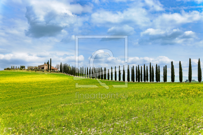 frei wählbarer Bildausschnitt für Ihr Bild auf Poster