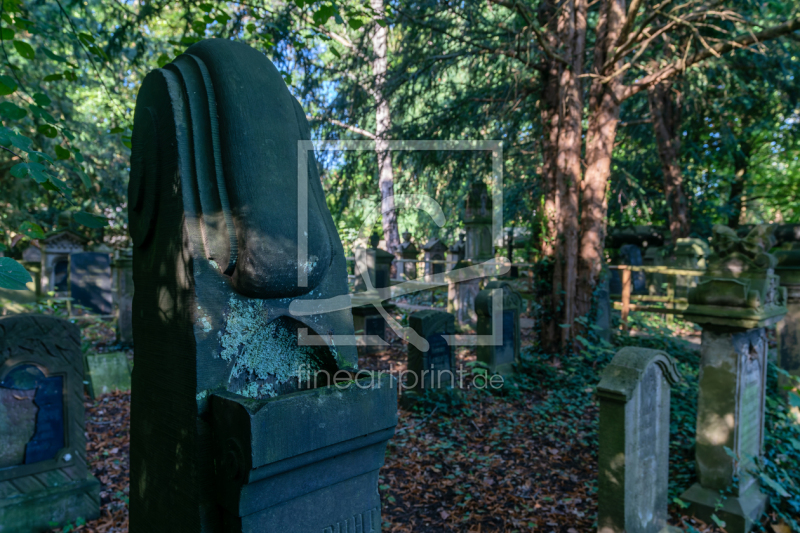 frei wählbarer Bildausschnitt für Ihr Bild auf Poster