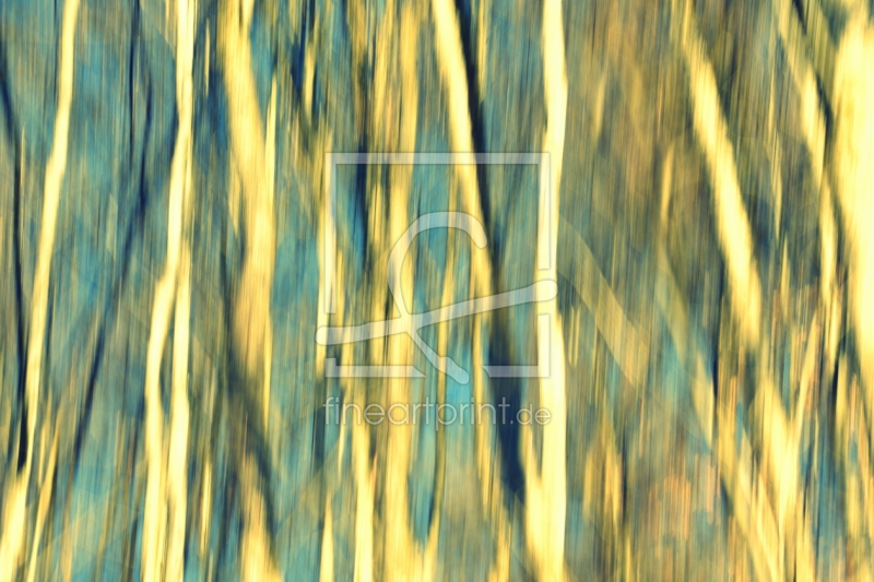 frei wählbarer Bildausschnitt für Ihr Bild auf Poster