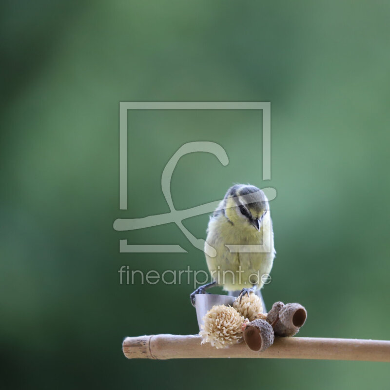 frei wählbarer Bildausschnitt für Ihr Bild auf Poster