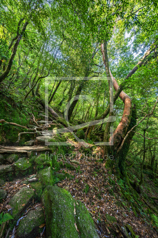 frei w&auml;hlbarer Bildausschnitt f&uuml;r Ihr Bild auf Poster