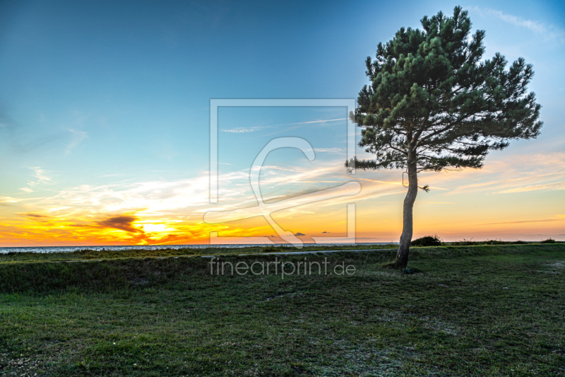 frei w&auml;hlbarer Bildausschnitt f&uuml;r Ihr Bild auf Poster