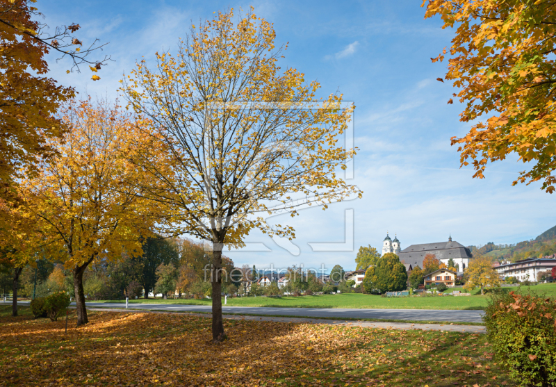 frei w&auml;hlbarer Bildausschnitt f&uuml;r Ihr Bild auf Poster