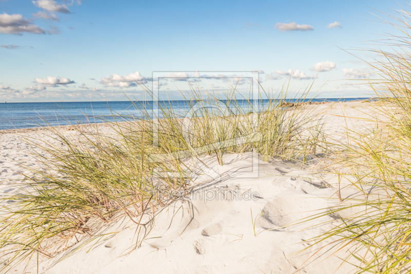 frei wählbarer Bildausschnitt für Ihr Bild auf Poster