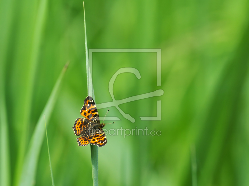 frei wählbarer Bildausschnitt für Ihr Bild auf Poster