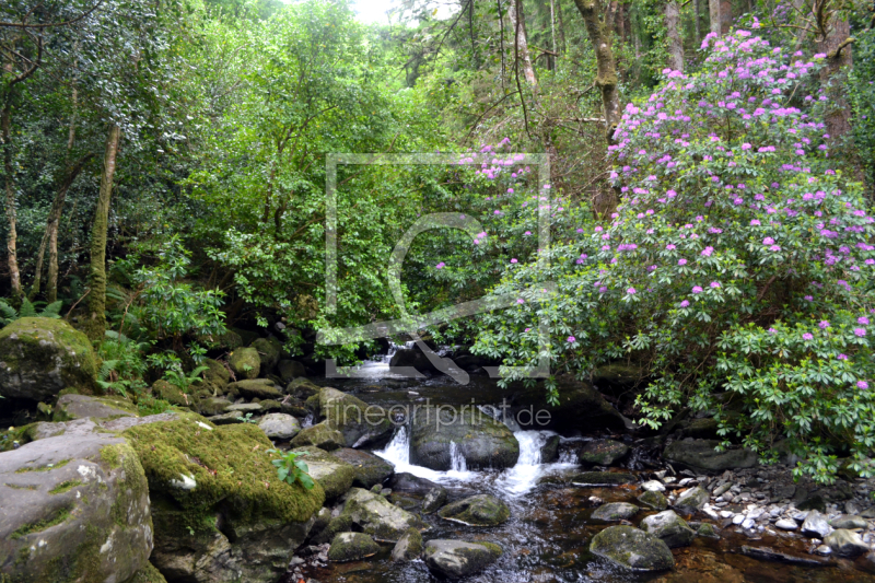 frei wählbarer Bildausschnitt für Ihr Bild auf Poster