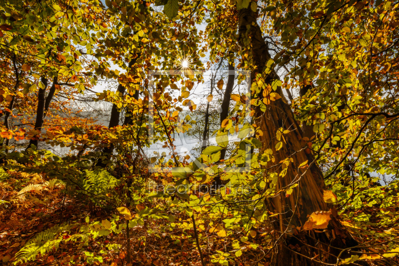 frei wählbarer Bildausschnitt für Ihr Bild auf Poster