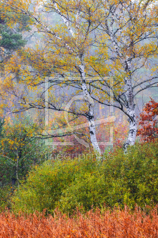 frei w&auml;hlbarer Bildausschnitt f&uuml;r Ihr Bild auf Poster