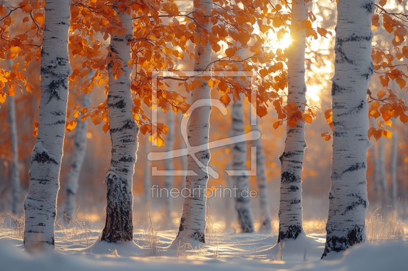 frei w&auml;hlbarer Bildausschnitt f&uuml;r Ihr Bild auf Poster