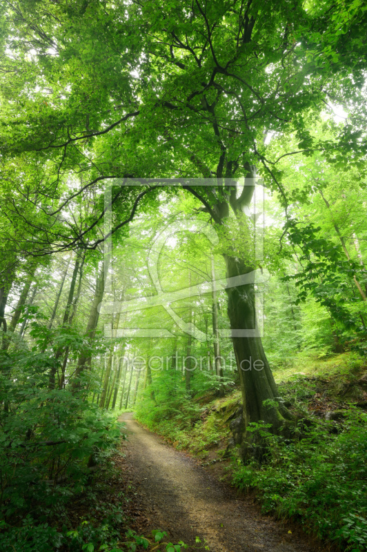 frei wählbarer Bildausschnitt für Ihr Bild auf Poster