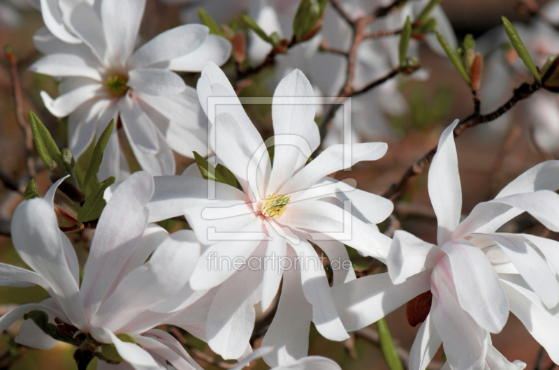frei w&auml;hlbarer Bildausschnitt f&uuml;r Ihr Bild auf Poster
