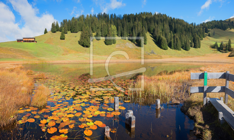 frei w&auml;hlbarer Bildausschnitt f&uuml;r Ihr Bild auf Poster