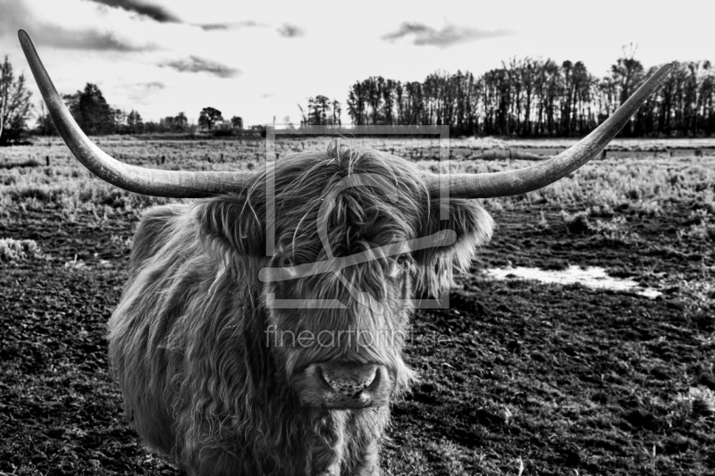 frei wählbarer Bildausschnitt für Ihr Bild auf Poster