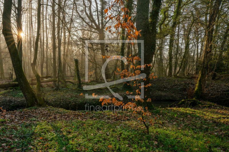 frei w&auml;hlbarer Bildausschnitt f&uuml;r Ihr Bild auf Poster