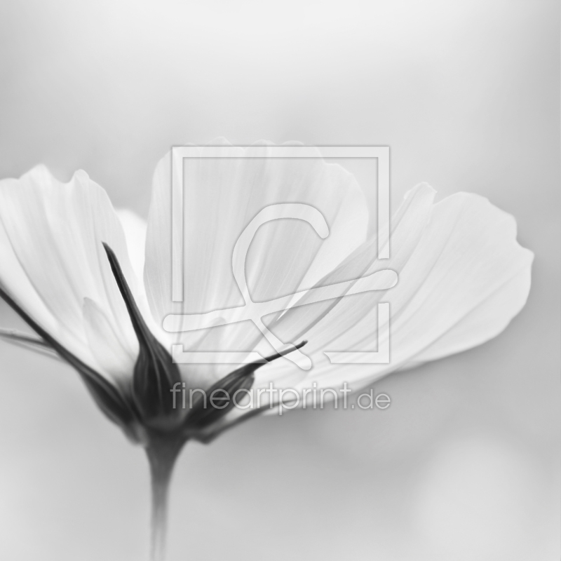 frei w&auml;hlbarer Bildausschnitt f&uuml;r Ihr Bild auf Poster