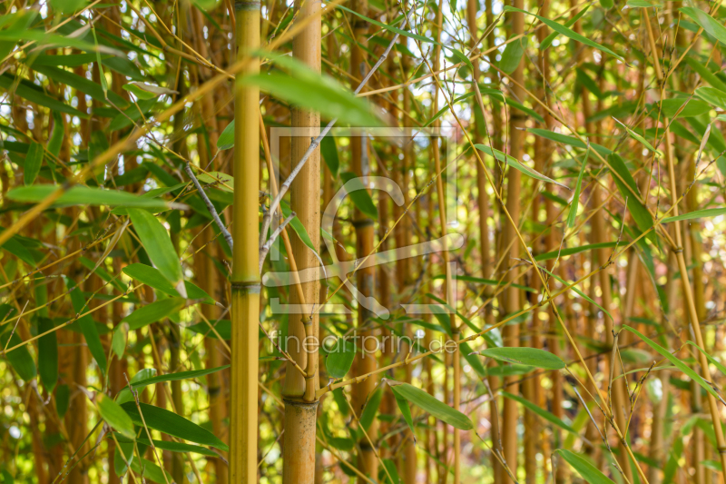 frei w&auml;hlbarer Bildausschnitt f&uuml;r Ihr Bild auf Poster