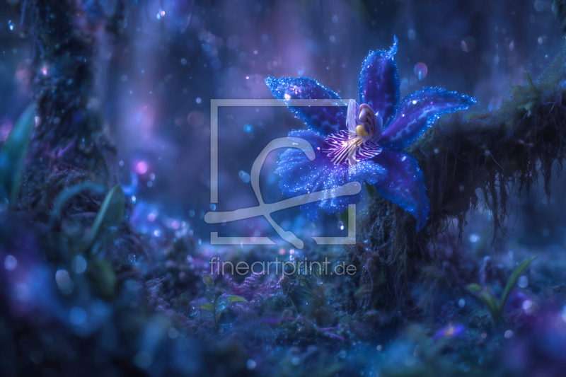 frei w&auml;hlbarer Bildausschnitt f&uuml;r Ihr Bild auf Poster