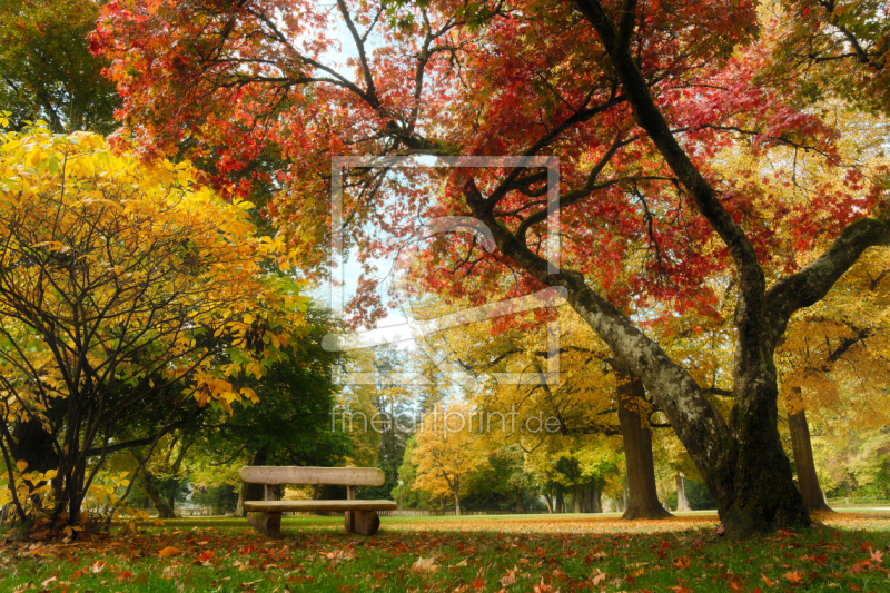 frei wählbarer Bildausschnitt für Ihr Bild auf Poster