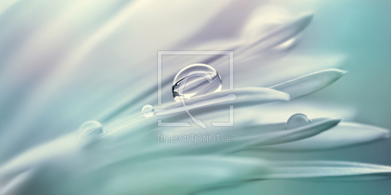 frei w&auml;hlbarer Bildausschnitt f&uuml;r Ihr Bild auf Poster