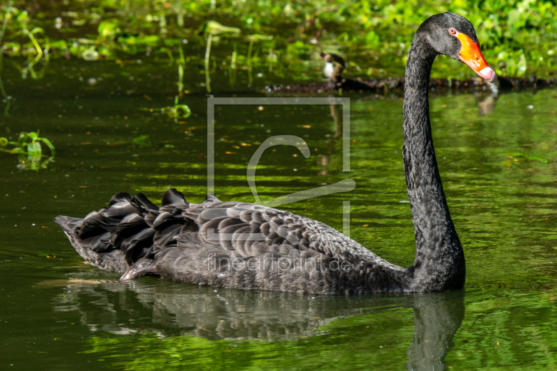 frei w&auml;hlbarer Bildausschnitt f&uuml;r Ihr Bild auf Poster