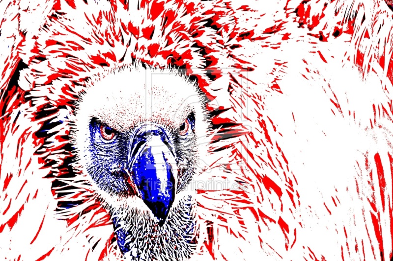 frei w&auml;hlbarer Bildausschnitt f&uuml;r Ihr Bild auf Poster