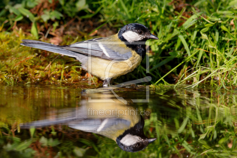 frei wählbarer Bildausschnitt für Ihr Bild auf Poster