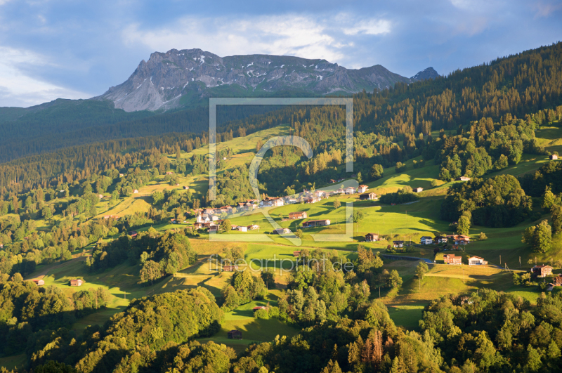 frei wählbarer Bildausschnitt für Ihr Bild auf Poster