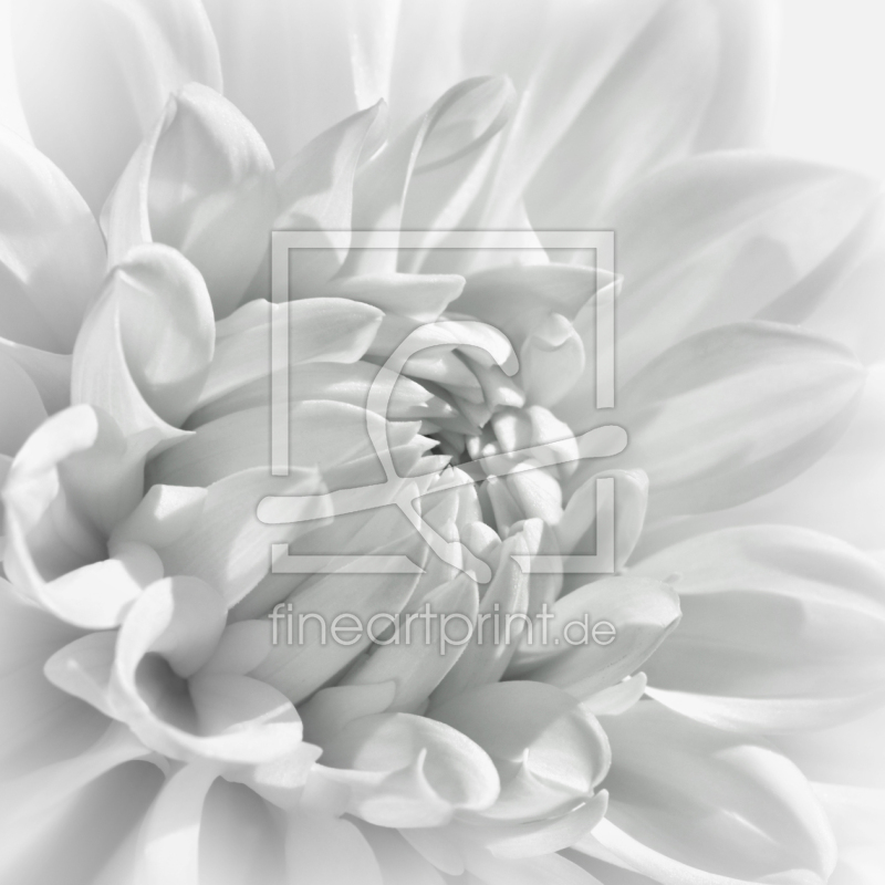 frei w&auml;hlbarer Bildausschnitt f&uuml;r Ihr Bild auf Poster