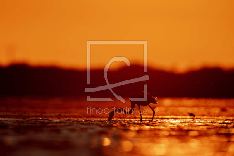 frei w&auml;hlbarer Bildausschnitt f&uuml;r Ihr Bild auf Poster