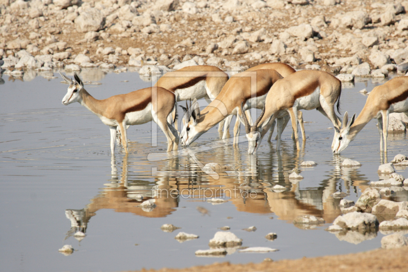 frei w&auml;hlbarer Bildausschnitt f&uuml;r Ihr Bild auf Poster