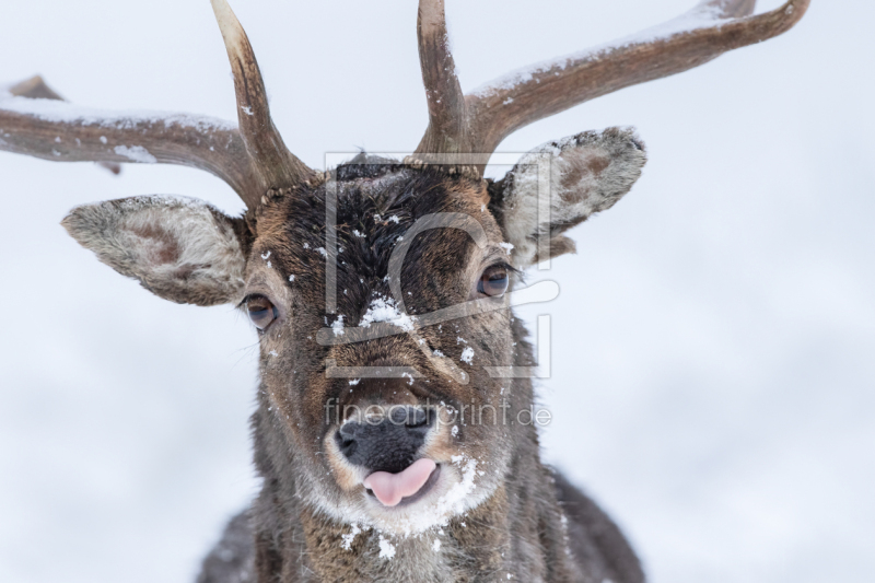 frei w&auml;hlbarer Bildausschnitt f&uuml;r Ihr Bild auf Poster