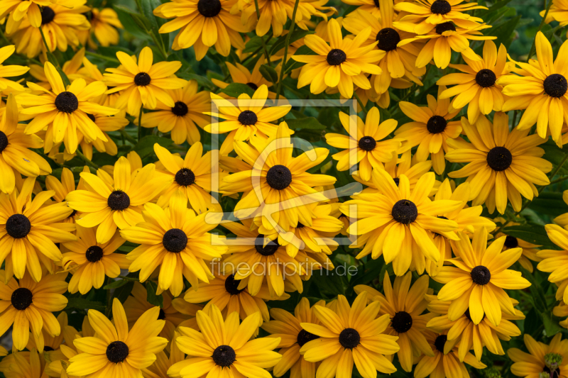 frei w&auml;hlbarer Bildausschnitt f&uuml;r Ihr Bild auf Poster