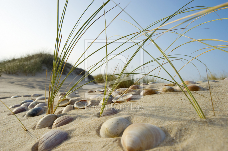 frei w&auml;hlbarer Bildausschnitt f&uuml;r Ihr Bild auf Poster