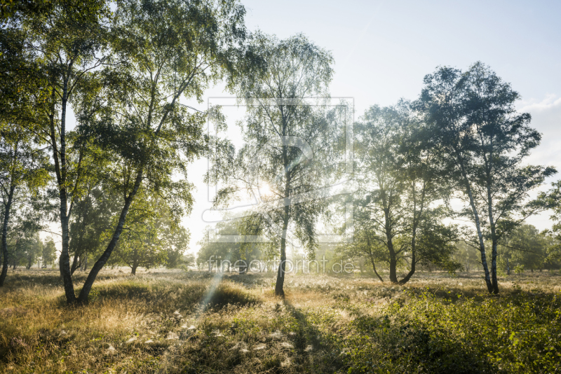frei w&auml;hlbarer Bildausschnitt f&uuml;r Ihr Bild auf Poster