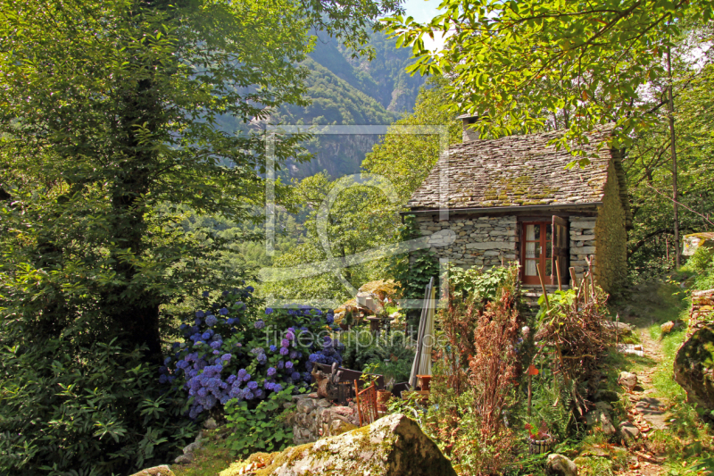 frei w&auml;hlbarer Bildausschnitt f&uuml;r Ihr Bild auf Poster