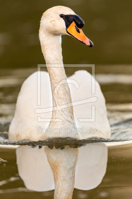 frei w&auml;hlbarer Bildausschnitt f&uuml;r Ihr Bild auf Poster