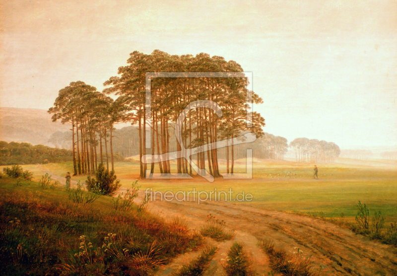 frei wählbarer Bildausschnitt für Ihr Bild auf Poster