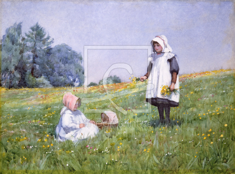 frei wählbarer Bildausschnitt für Ihr Bild auf Poster