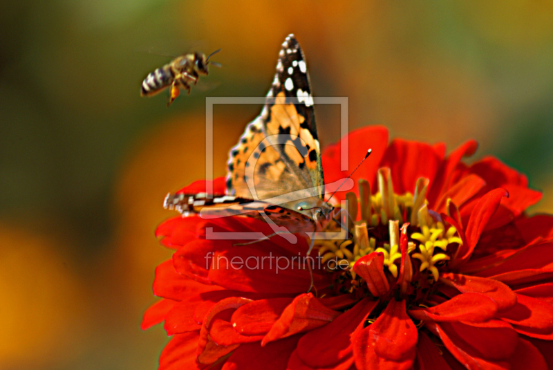 frei w&auml;hlbarer Bildausschnitt f&uuml;r Ihr Bild auf Poster