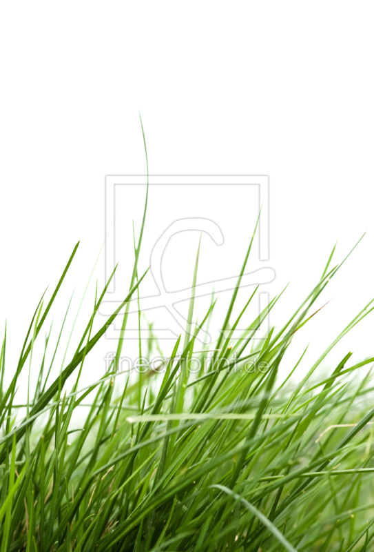 frei wählbarer Bildausschnitt für Ihr Bild auf Poster