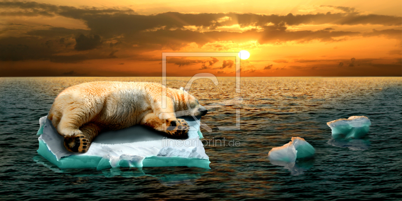 frei wählbarer Bildausschnitt für Ihr Bild auf Poster