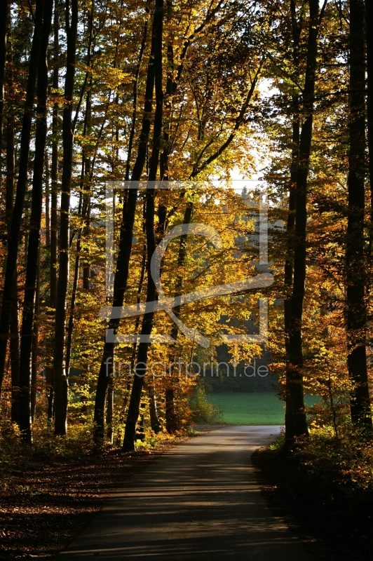 frei wählbarer Bildausschnitt für Ihr Bild auf Poster