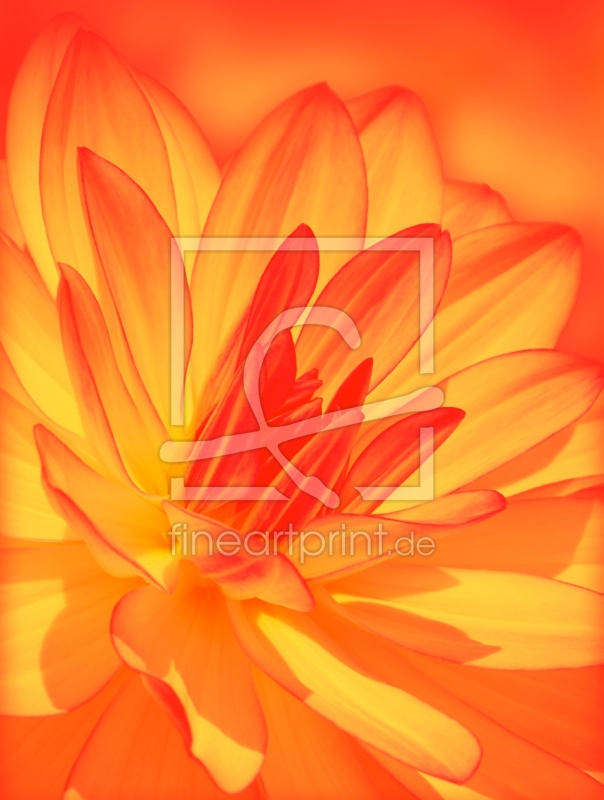 frei w&auml;hlbarer Bildausschnitt f&uuml;r Ihr Bild auf Poster