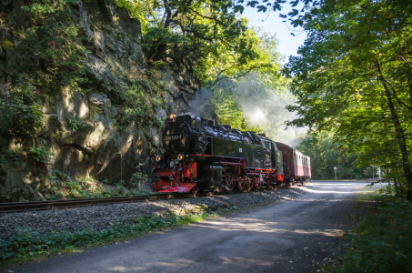 Bild-Nr: 11589922 Selketalbahn Erstellt von: Steffen Gierok