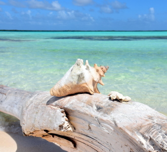 Bild-Nr: 12720193 Am Strand Erstellt von: GUGIGEI