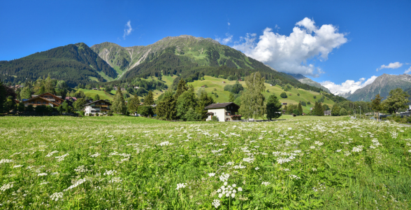 Bild-Nr: 12875065 Madrisablick Klosters Erstellt von: SusaZoom