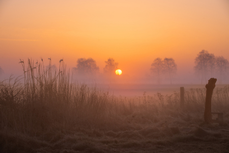 Bild-Nr: 12883231 Morgenzauber im Nebel  Erstellt von: Tanja Riedel